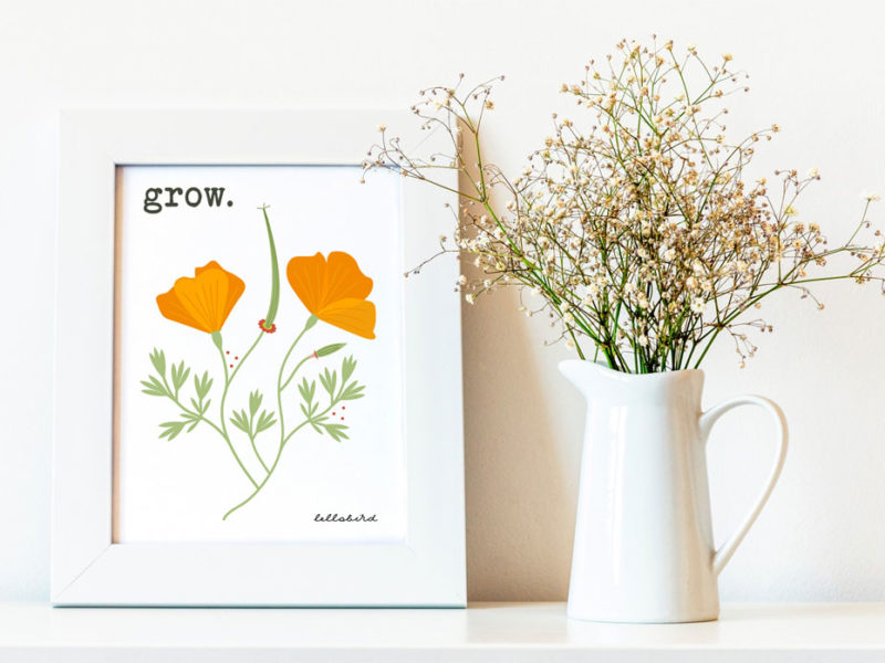 Grow California poppies printable by Lellobird